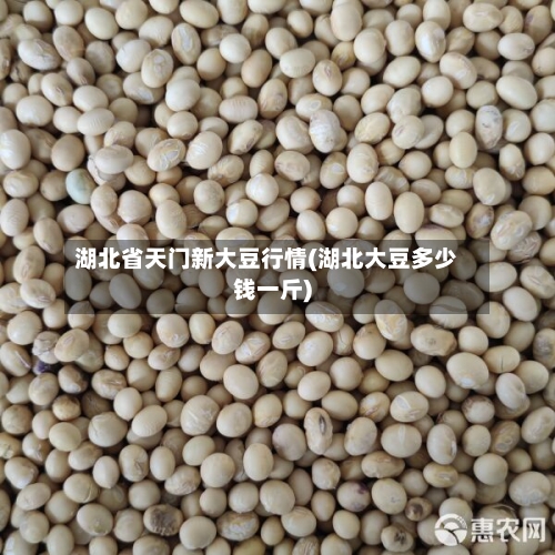 湖北省天门新大豆行情(湖北大豆多少钱一斤)