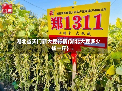 湖北省天门新大豆行情(湖北大豆多少钱一斤)-第3张图片
