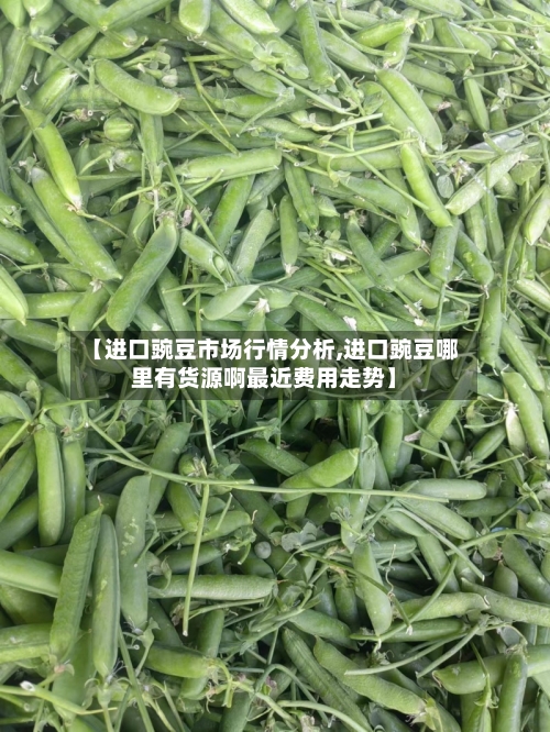 【进口豌豆市场行情分析,进口豌豆哪里有货源啊最近费用走势】