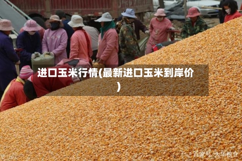 进口玉米行情(最新进口玉米到岸价)