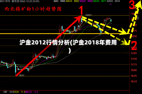 沪金2012行情分析(沪金2018年费用)