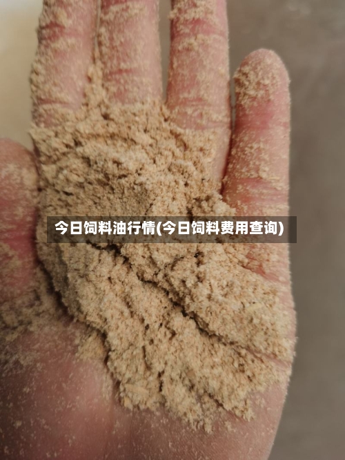 今日饲料油行情(今日饲料费用查询)-第3张图片