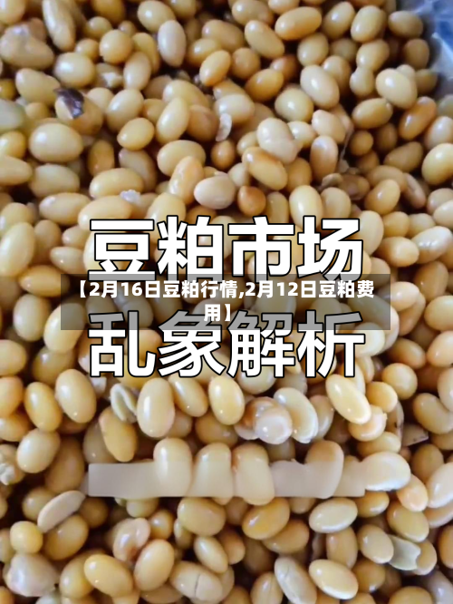 【2月16日豆粕行情,2月12日豆粕费用】