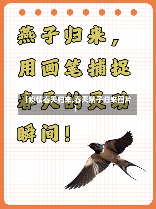 【疫情春天归来,春天燕子归来图片】-第2张图片