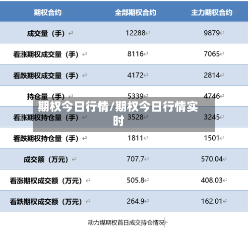 期权今日行情/期权今日行情实时