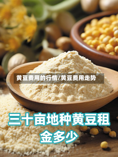 黄豆费用的行情/黄豆费用走势-第3张图片