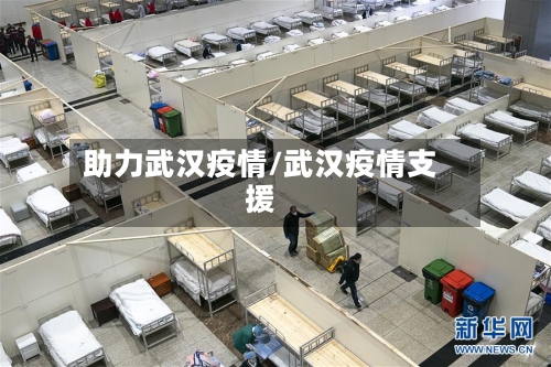 助力武汉疫情/武汉疫情支援