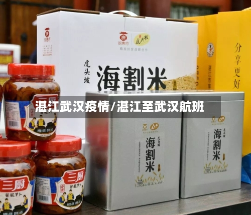 湛江武汉疫情/湛江至武汉航班