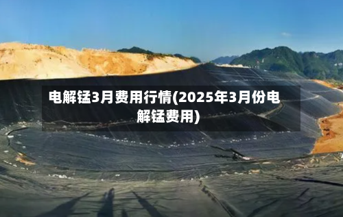电解锰3月费用行情(2025年3月份电解锰费用)