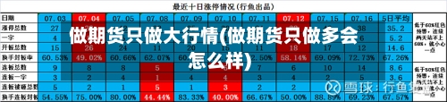 做期货只做大行情(做期货只做多会怎么样)-第2张图片
