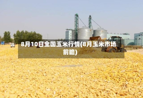 8月10日全国玉米行情(8月玉米市场前瞻)-第2张图片