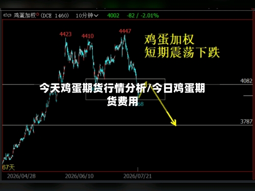 今天鸡蛋期货行情分析/今日鸡蛋期货费用-第2张图片