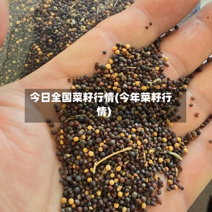 今日全国菜籽行情(今年菜籽行情)-第2张图片