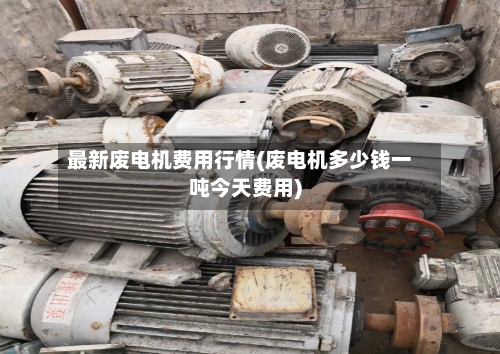 最新废电机费用行情(废电机多少钱一吨今天费用)-第2张图片