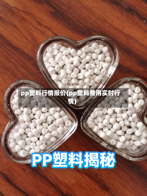 pp塑料行情报价(pp塑料费用实时行情)