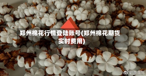 郑州棉花行情登陆账号(郑州棉花期货实时费用)