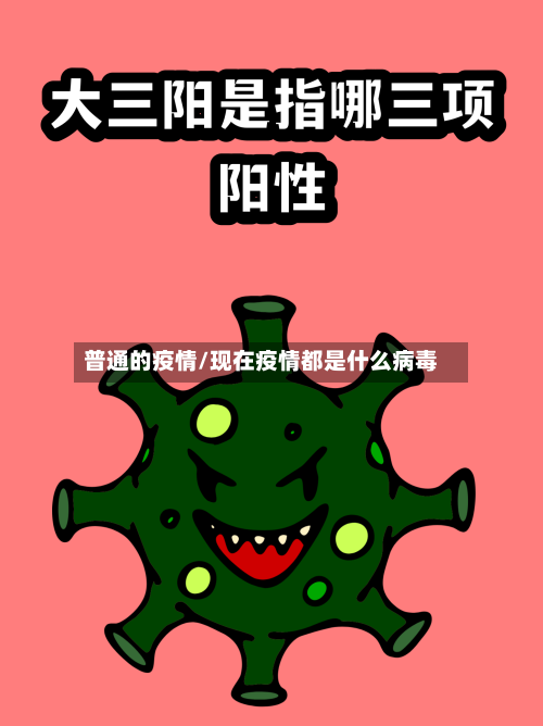 普通的疫情/现在疫情都是什么病毒-第2张图片