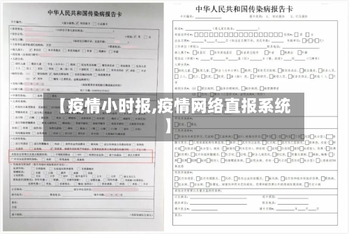 【疫情小时报,疫情网络直报系统】-第2张图片