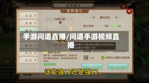 手游问道直播/问道手游视频直播