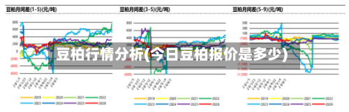 豆柏行情分析(今日豆柏报价是多少)