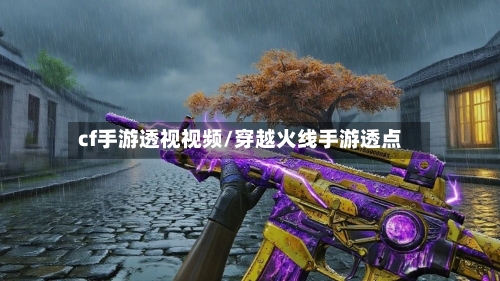 cf手游透视视频/穿越火线手游透点-第2张图片