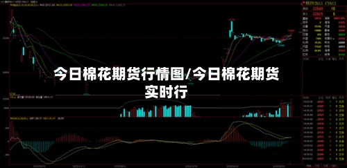今日棉花期货行情图/今日棉花期货实时行