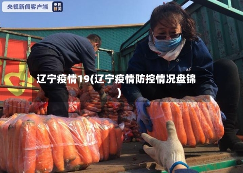 辽宁疫情19(辽宁疫情防控情况盘锦)
