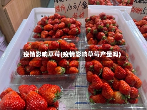 疫情影响草莓(疫情影响草莓产量吗)-第2张图片