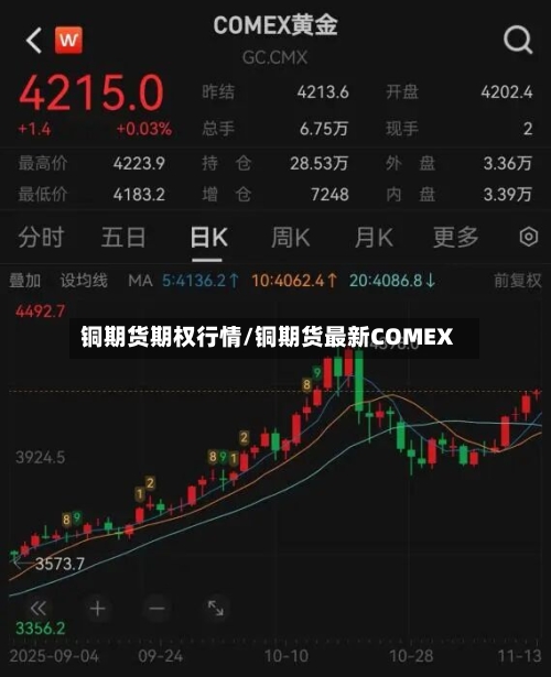 铜期货期权行情/铜期货最新COMEX-第3张图片