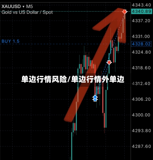 单边行情风险/单边行情外单边