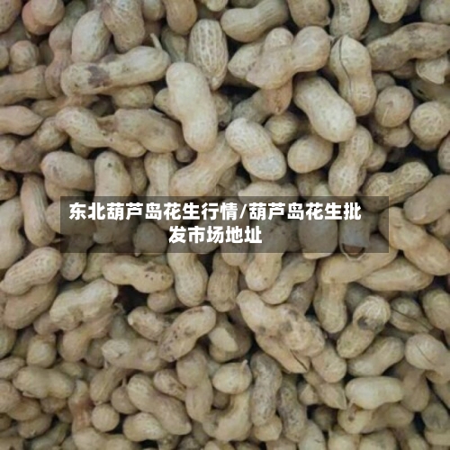 东北葫芦岛花生行情/葫芦岛花生批发市场地址-第2张图片