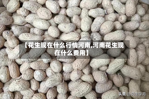 【花生现在什么行情河南,河南花生现在什么费用】