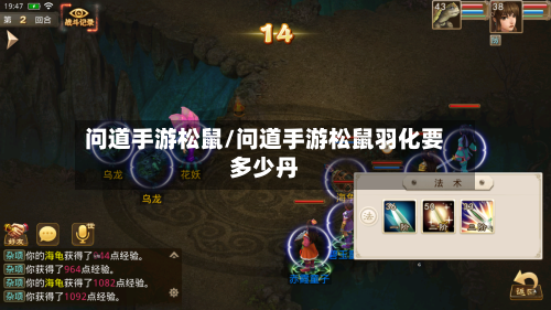 问道手游松鼠/问道手游松鼠羽化要多少丹-第2张图片