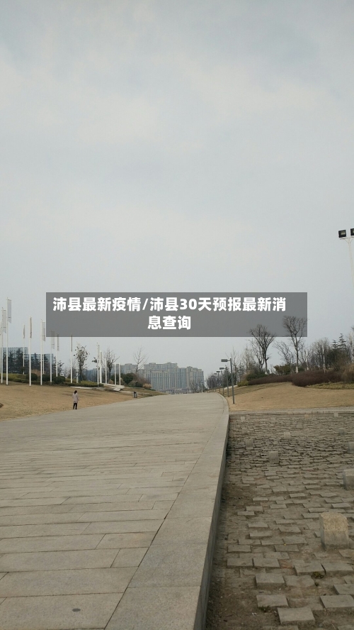 沛县最新疫情/沛县30天预报最新消息查询-第2张图片