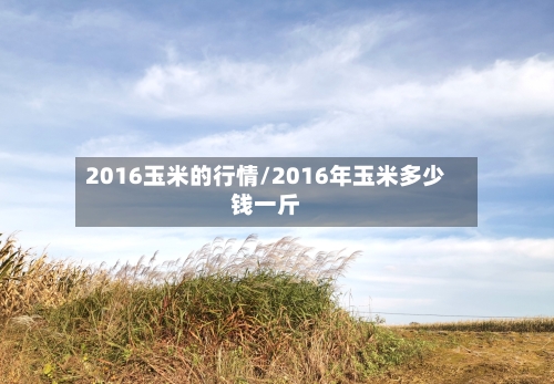 2016玉米的行情/2016年玉米多少钱一斤