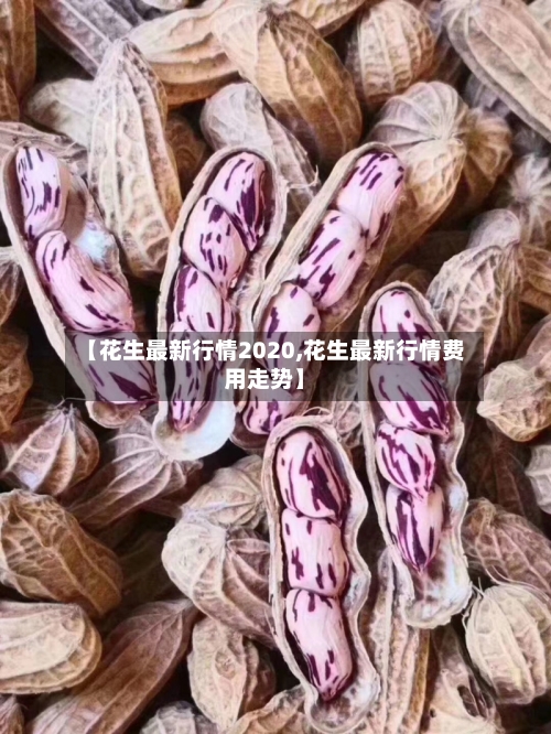 【花生最新行情2020,花生最新行情费用走势】