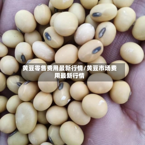 黄豆零售费用最新行情/黄豆市场费用最新行情-第3张图片