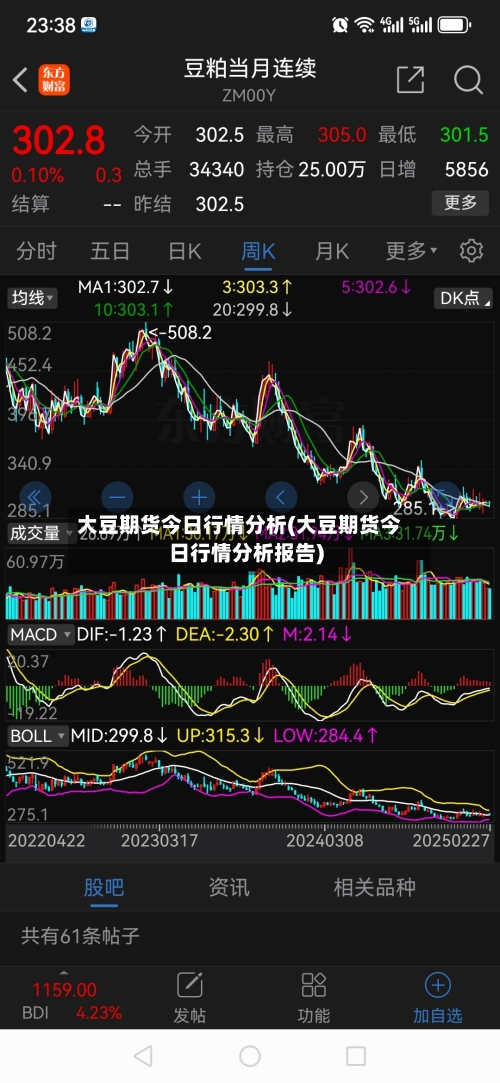 大豆期货今日行情分析(大豆期货今日行情分析报告)-第2张图片