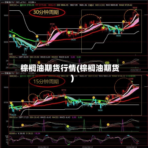 棕榈油期货行情(棕榈油期货)