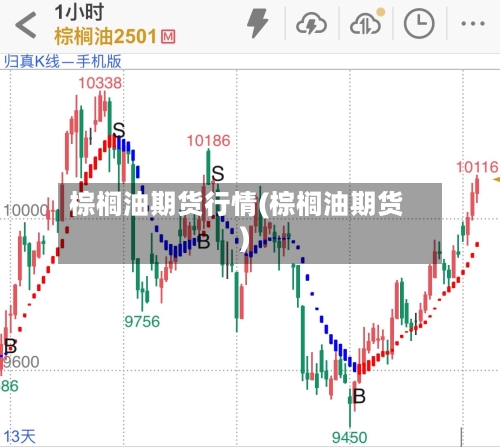 棕榈油期货行情(棕榈油期货)-第3张图片