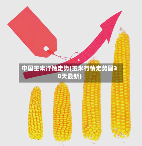 中国玉米行情走势(玉米行情走势图30天最新)