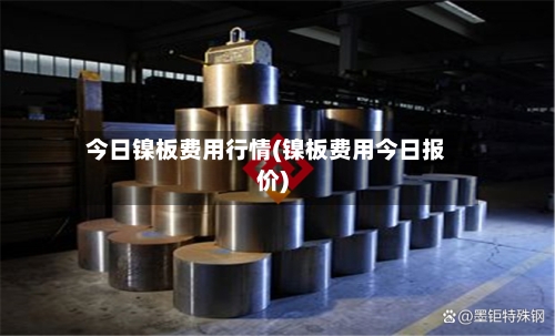 今日镍板费用行情(镍板费用今日报价)-第2张图片