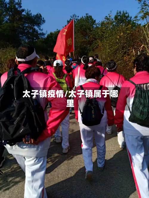 太子镇疫情/太子镇属于哪里