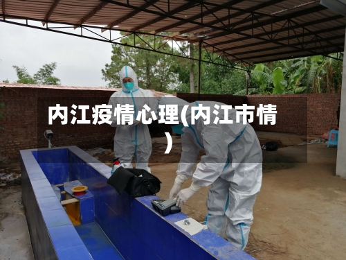 内江疫情心理(内江市情)-第2张图片