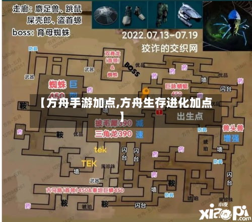 【方舟手游加点,方舟生存进化加点】