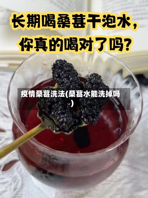 疫情桑葚洗法(桑葚水能洗掉吗)