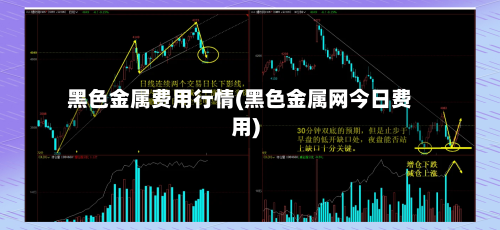黑色金属费用行情(黑色金属网今日费用)-第2张图片