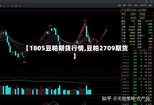 【1805豆粕期货行情,豆粕2709期货】