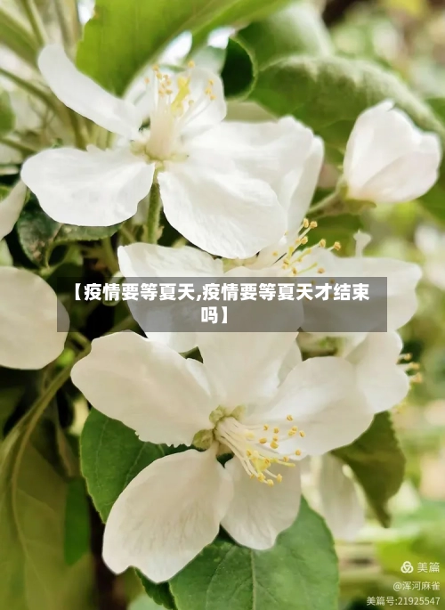 【疫情要等夏天,疫情要等夏天才结束吗】