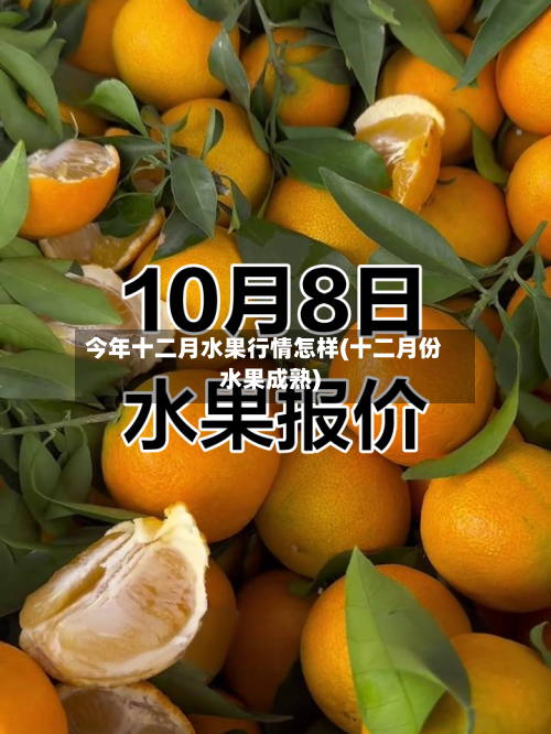 今年十二月水果行情怎样(十二月份水果成熟)-第2张图片